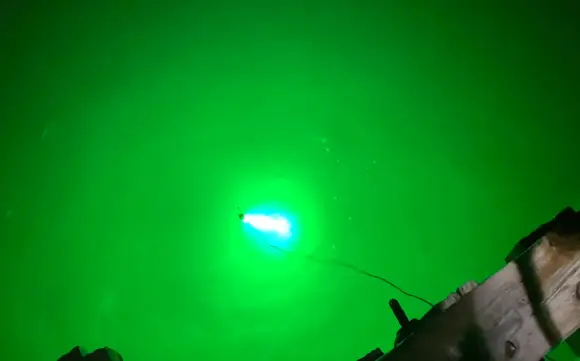 Top 5 Best Underwater Fishing Light Based on Performance