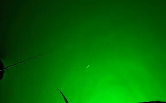 Underwater Fishing Light